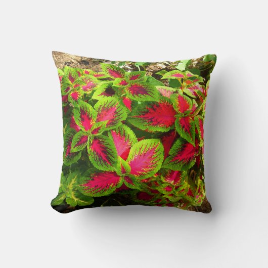 ピンクの緑の黄色熱帯枕 クッション (正面)