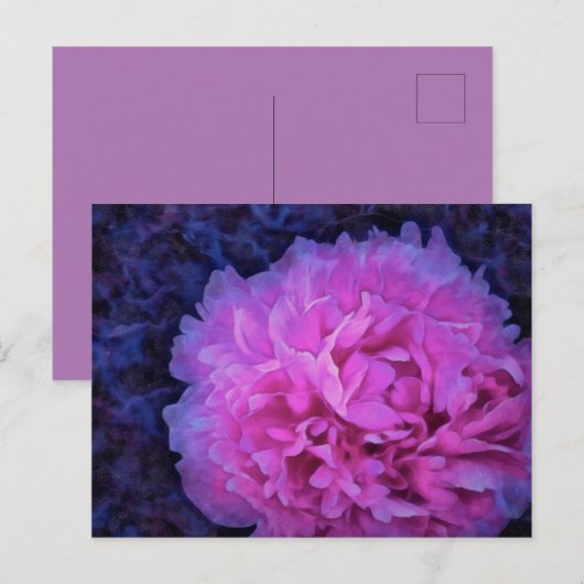 ピンクの緑豊かな牡丹の花 ポストカード (正面/裏面)