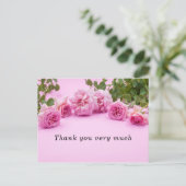 ピンクの背景にピンクのバラのサンキューカード ポストカード (スタンド正面)