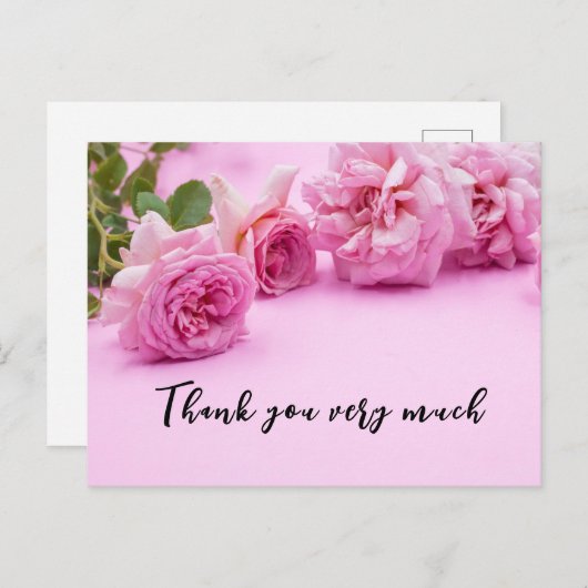 ピンクの背景にピンクのバラのサンキューカード ポストカード (正面/裏面)