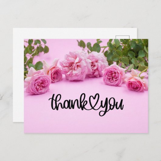 ピンクの背景にピンクのバラのサンキューカード ポストカード (正面/裏面)
