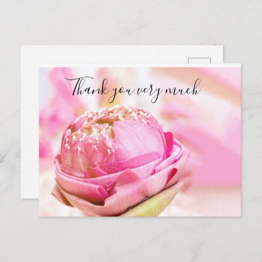 ピンクの背景にピンクの折り畳み蓮ありがとう ポストカード (正面/裏面)