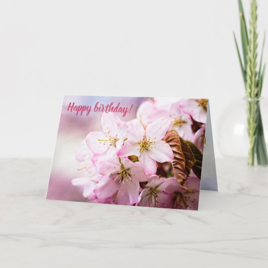ピンクの背景に対するピンクの桜の束 カード (正面)