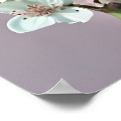 ピンクの背景に美しい白とピンクの芍薬 ポスター (角)