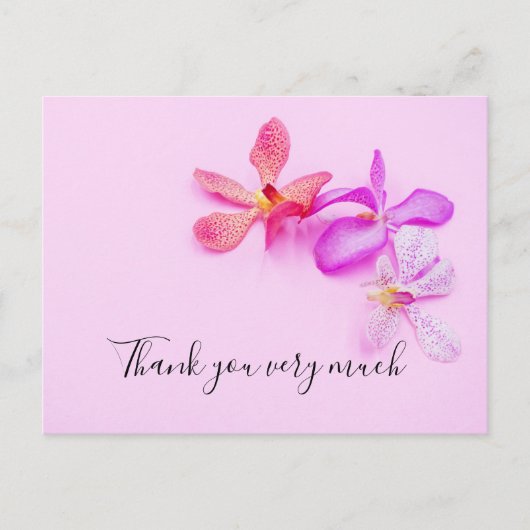 ピンクの背景に蘭の花サンキューカード ポストカード (正面)
