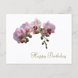 ピンクの胡蝶蘭の花　お誕生日おめでとう ポストカード