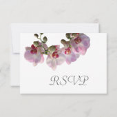 ピンクの胡蝶蘭の花 ウェディングRSVP 出欠カード (裏面)