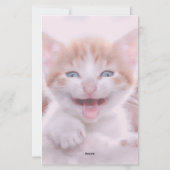 ピンクの色合いがかった2枚の写真 便箋 (裏面)