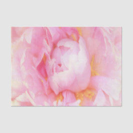 ピンクの芍薬のクローズアップ 薄葉紙