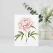 ピンクの芍薬のポストカード ポストカード (スタンド正面)