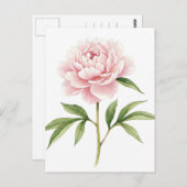 ピンクの芍薬のポストカード ポストカード (正面/裏面)