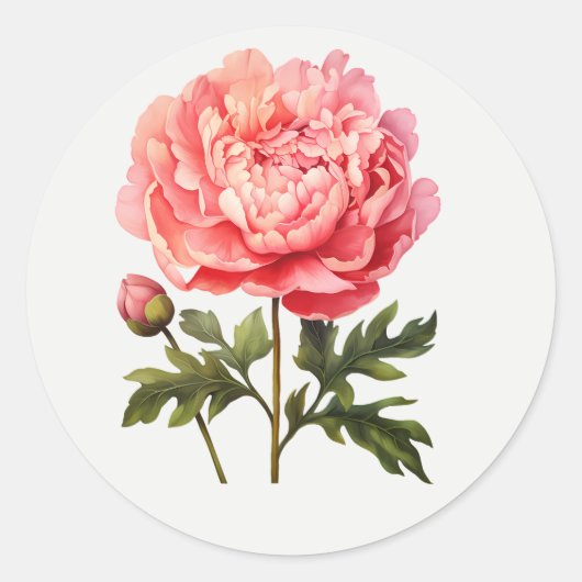 ピンクの芍薬の庭の花のフラワーアート ラウンドシール (正面)