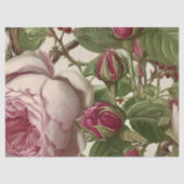 ピンクの芍薬の植物画デザイン 薄葉紙 (正面)