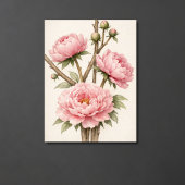 ピンクの芍薬の植物画 ポスター