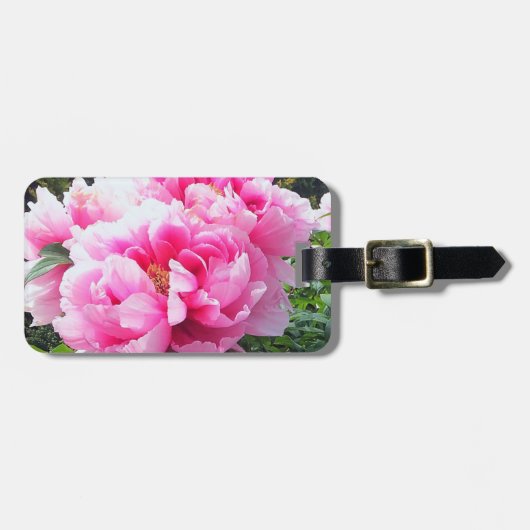 ピンクの芍薬の満開 ラゲッジタグ (正面横)
