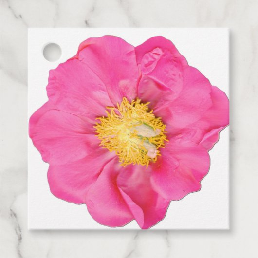 ピンクの芍薬の花の植物ボタニカルスクエアファバータグ フェイバータグ (正面)