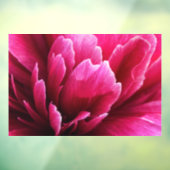 ピンクの芍薬の花びら 窓用ステッカー ウィンドウサイン (シート3)