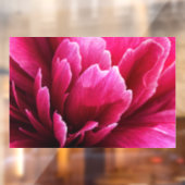 ピンクの芍薬の花びら 窓用ステッカー ウィンドウサイン (シート2)
