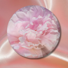 ピンクの芍薬の花 マグネット