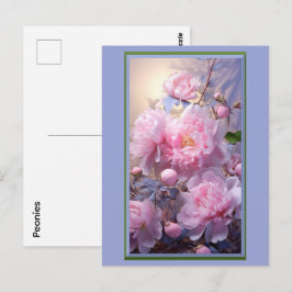 ピンクの芍薬の蕾と花 ポストカード