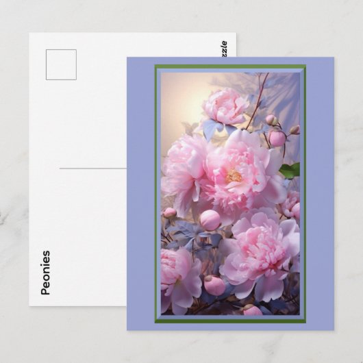 ピンクの芍薬の蕾と花 ポストカード (正面/裏面)