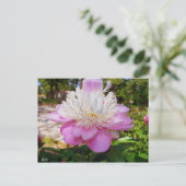ピンクの芍薬イースター ポストカード (スタンド正面)