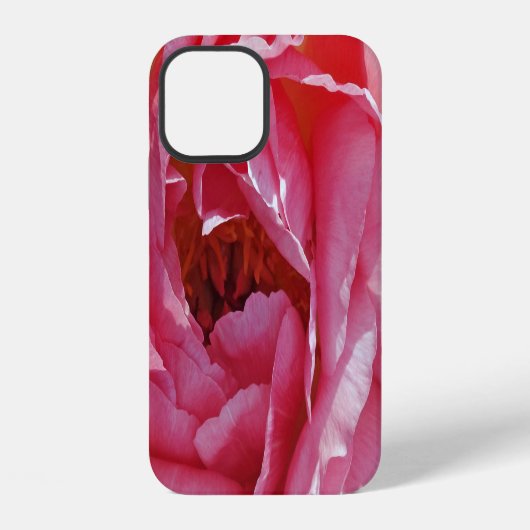 ピンクの芍薬 iPhoneケース (裏面)