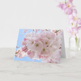 ピンクの花々の青い空 カード