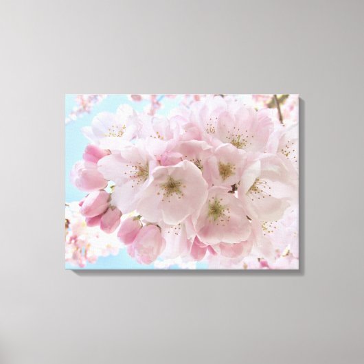 ピンクの花々青い空。 キャンバスプリント (正面)