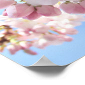 ピンクの花々青い空。 ポスター (角)