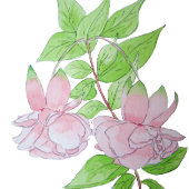 ピンクの花かわいらしと葉のフローラの房 タンブラー