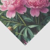 ピンクの花かわいらし牡丹 薄葉紙 (詳細)