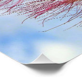 ピンクの花が咲くミモザの木の光沢ポスター ポスター (コーナー)