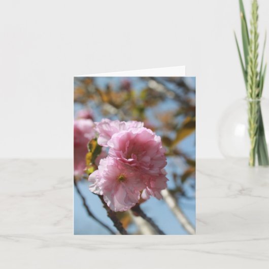 ピンクの花が咲く シーズンカード (正面)