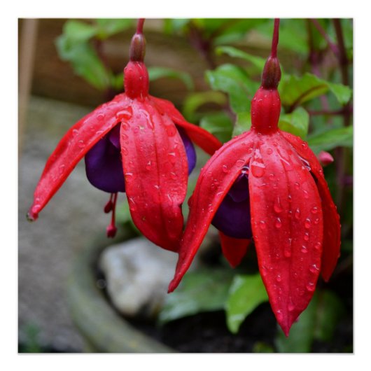 ピンクの花が愛する運命のシャワー ポスター (正面)