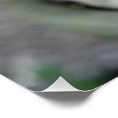 ピンクの花が愛する運命のシャワー ポスター (コーナー)