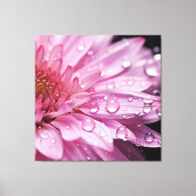 ピンクの花すごいのマクロ（雨粒）