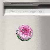 ピンクの花とバグ マグネット (インサイチュ (食洗機))