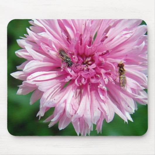 ピンクの花と昆虫 マウスパッド (正面)