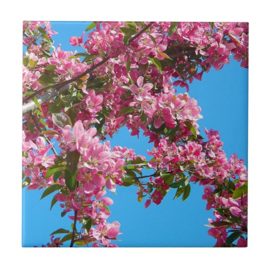 ピンクの花と青空 タイル (正面)