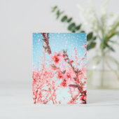 ピンクの花と飛んでいる花びら(または雪) ポストカード (スタンド正面)