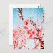 ピンクの花と飛んでいる花びら(または雪) ポストカード (正面/裏面)