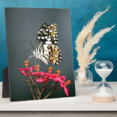 ピンクの花に止まる白と黒と黄色の蝶 フォトプラーク (側面)