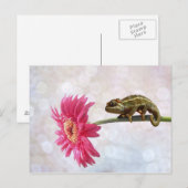 ピンクの花に緑のカメレオン ポストカード (正面/裏面)
