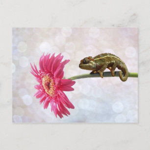 ピンクの花に緑のカメレオン ポストカード