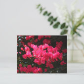 ピンクの花のはがき ポストカード (スタンド正面)