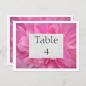 ピンクの花のウェディングテーブルカード ポストカード (正面/裏面)