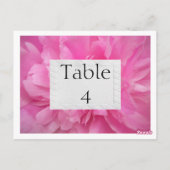 ピンクの花のウェディングテーブルカード ポストカード (裏面)