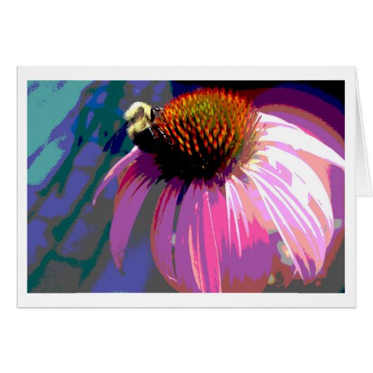 ピンクの花のエキナセア写真 (正面横)