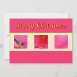 ピンクの花のクリスマスカード シーズンカード